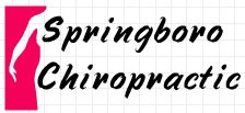 Springboro Chiropractic logo sample 1